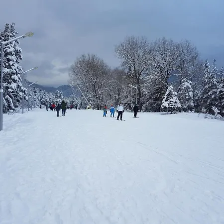 Mountain View - B45 Apartment