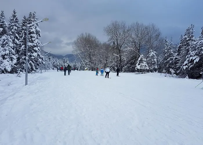 Mountain View - B45 Apartment